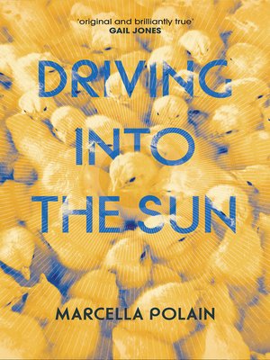 cover image of Driving into the Sun